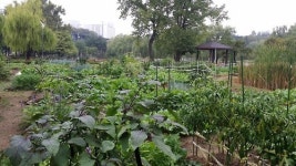 용산가족공원에 텃밭 가꿔볼까…2∼8일 신청서 접수