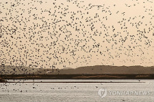 서산태안환경연합 부남호 풍력발전소 건설 반대