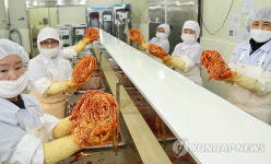 지난해 중국으로 김치 수출 44만弗…전년의 4배로 폭증