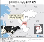 충북 보은 젖소농장 구제역 확진…일시 이동중지 검토
