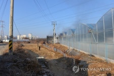고양 화훼용 비닐하우스 화재