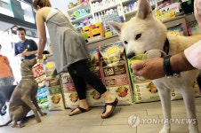 伊에 애완동물 보험 등장…15만원에 의료·실종견 수색 등 지원
