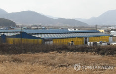 구제역 의심 한우농장