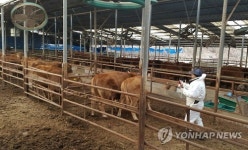 구제역 예방 총력