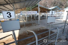 썰렁한 우시장