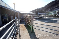 구제역 탓에 잠정 폐쇄된 우시장