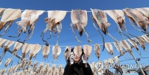 보기만 해도 맛있는 오징어