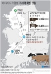 한국 가축전염병 쇼크…방역시스템 사실상 붕괴