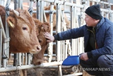 구제역, 건강하게 잘 넘기자!