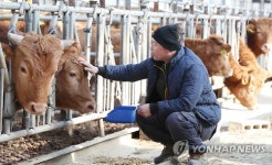 구제역, 건강하게 잘 넘기자!