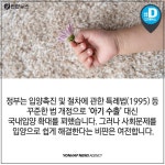 [카드뉴스] 60년 간 17만명의 아기를 수출한 나라