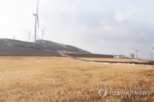 봄기운 가득한 매봉산 바람의 언덕