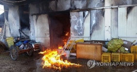 강릉서 농산물 집하장에 불
