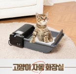 전용호텔서 쉬고. 다이어트스쿨 다닌다…반려동물도 상류층처럼