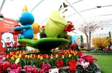 서울랜드의 이른 봄꽃 파티, 프랭키 플라워 가든