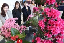 꽃밭 펼쳐진 서초구청
