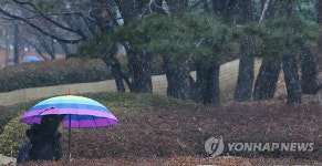 봄은 언제 오나
