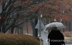 봄은 언제 오나