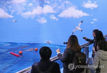 울산 고래생태체험관 점검하는 조사단