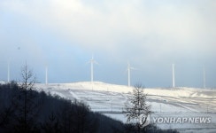눈 덮인 강원 태백 바람의 언덕