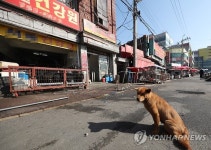 개 유통시설 정비작업 바라보는 견공