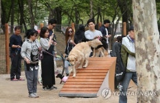 백구야 놀러 가자…서울시 반려견놀이터 재개장