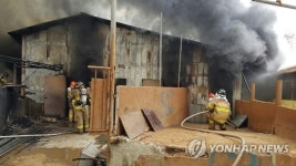 거창 화재로 돼지 1천여마리 폐사