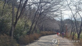 영랑호 주변 산책로