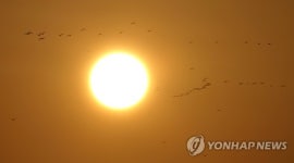 해와 철새