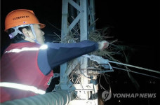 까치집 제거하는 코레일 직원