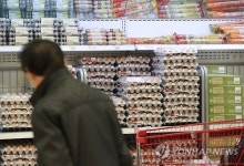 美계란 수입금지로 계란값 다시 오를까