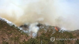 건조특보 내려진 강릉서 산불…정상으로 번져