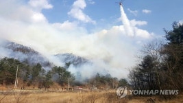 건조특보 내려진 강릉서 산불…정상으로 번져