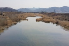 금강과 합쳐지는 영동천 600ｍ, 옛 물길 복원한다