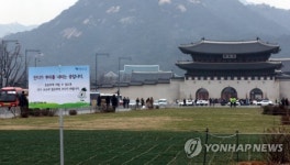 광화문 광장은 뿌리를 내리는 중