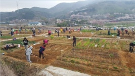 부산 기장군 1인당 10.8㎡ 텃밭 도시농업 지원
