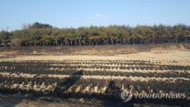 논두렁·밭두렁 함부로 태우지 마세요…인명 피해 속출
