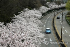 우리 같이 걸어요, 이 거리를…대구 도심 봄내음길 32곳