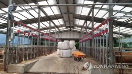 소 키우기 수월해졌네 횡성군 축산 스마트 팜 조성
