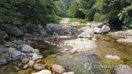 겨우내 닫힌 치악산 캠핑명소 구룡ㆍ금대야영장 4월 1일 개장