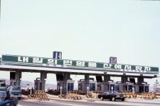 1960년대 아까시나무는 토양 비옥하게 한 효자 나무