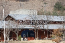 [주말 N 여행] 절벽에 피어난 동강할미꽃의 회춘(回春)