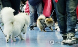 우리들 세상
