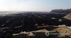 화성 송산그린시티 인근 들불