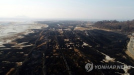 화성 송산그린시티 인근 들불