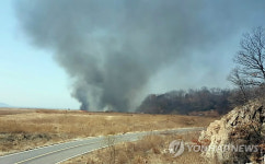 화성 송산그린시티 인근 들불