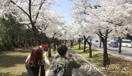 카메라에 담아야지