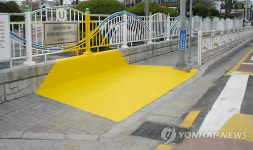 세종 장기초 앞 옐로 카펫