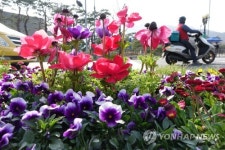 사랑채 건너편 꽃밭