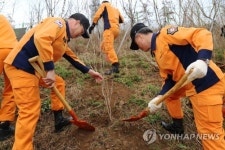 나무 심는 소방관
